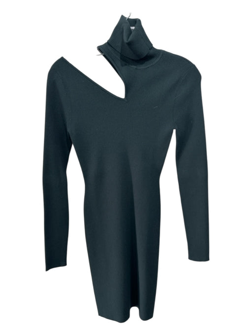A.L.C. Size S Hunter Green Viscose & Polyester Turtle Neck Long Sleeve Dress Hunter Green / S