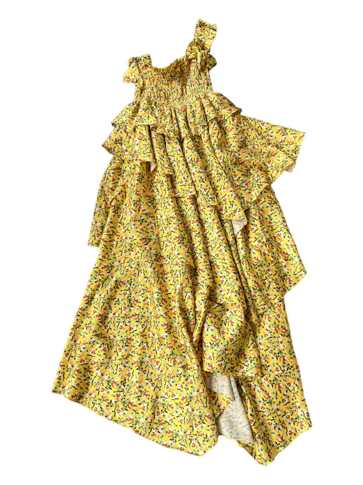 Petersyn Size XS Mustard & Multi Polyester layered Floral Maxi Dress Mustard & Multi / XS