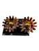 Lele Sadoughi Pink, Yellow, Brown Acetate Gold Detail Floral Post Back Earrings Pink, Yellow, Brown