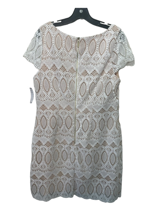 Eliza J Size 14 Beige & White Polyester Crochet Overlay Wide Neck Sheath Dress Beige & White / 14