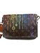 Louis Vuitton Brown & Multi Coated Canvas Magnetic Closure Crossbody Strap Bag Brown & Multi / S