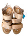 Musse & Cloud Shoe Size 36 Tan Leather Faux Wood Platform Sandals Tan / 36