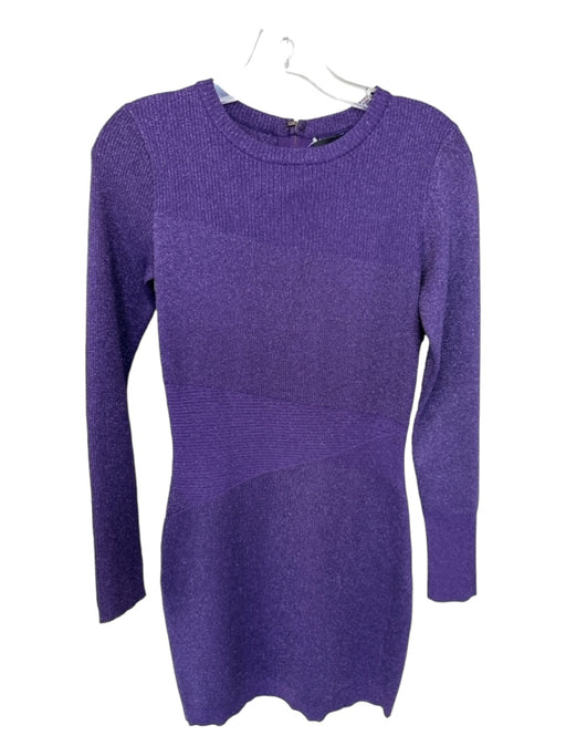 Retrofete Size M Purple Rayon Blend Long Sleeve Metallic Body Con Dress Purple / M