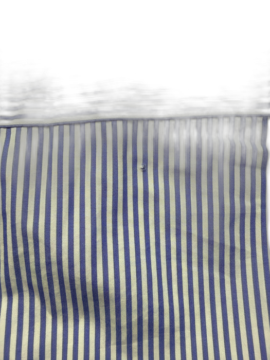 Ann Mashburn Size M Blue & White Cotton Striped Long Sleeve Ruffle Detail Top Blue & White / M