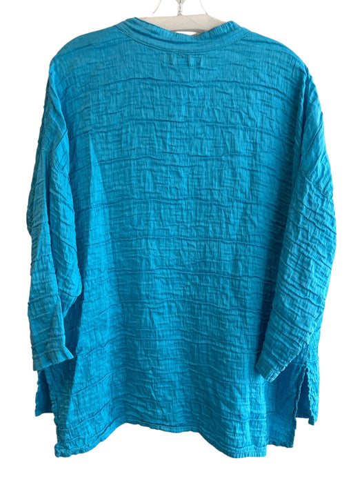 Aurea Vita Size M Blue Silk & Linen Standing Collar Half Button 3/4 Sleeve Top Blue / M