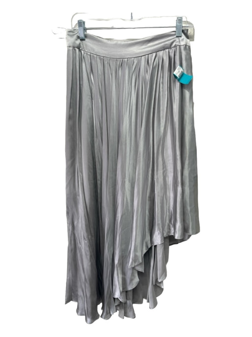 Amanda Maria Size M Silver Gray Silk Pleated Assymetric Hem Side Zip Skirt Silver Gray / M