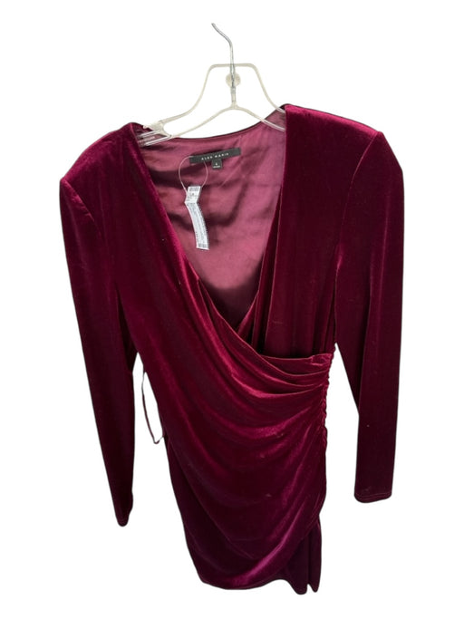 Alex Marie Size 4 Maroon Velvet Long Sleeve Gathered Side Dress Maroon / 4