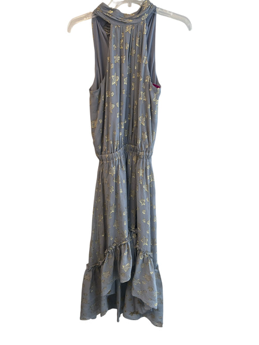 Ramy Brook Size XS Gray Silk Metallic Star Halter Pleated Neckline Dress Gray / XS