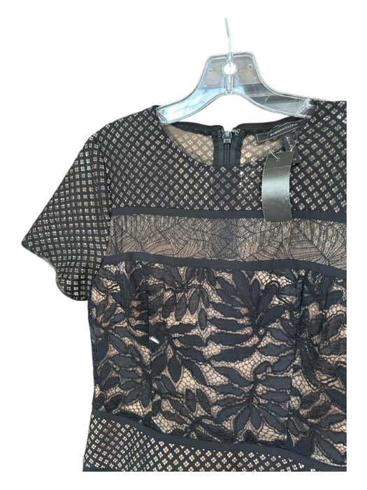 BCBG Maxazria Size 6 Black & Nude Cotton Blend Lace Short Sleeve Back Zip Dress Black & Nude / 6