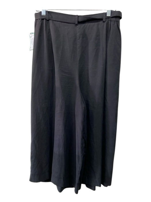 Jennifer Glasgow Size L Black Lyocell Zip & Button High Rise Pleated Wide Pants Black / L