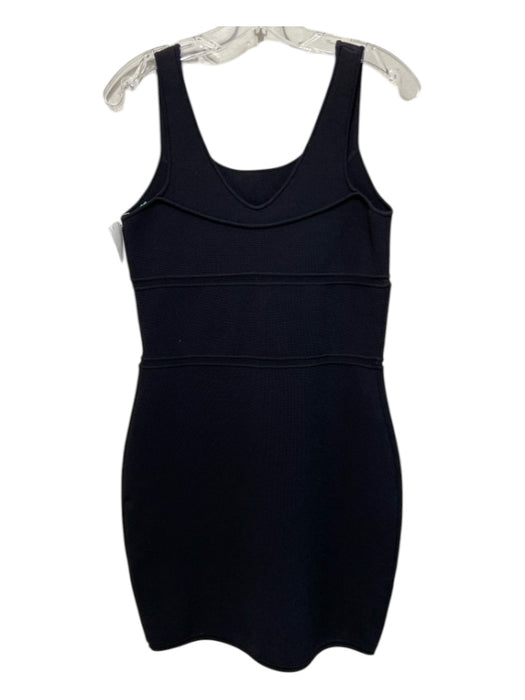 Ralph Rucci Size M Black Sleeveless Dress Black / M