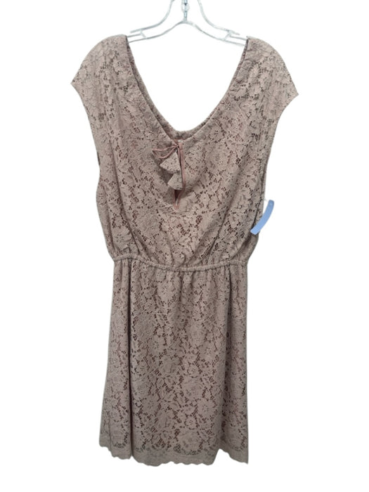 Jade Johnny Was Size S Light Pink Nylon Floral Lace Overlay Off Shoulder Dress Light Pink / S