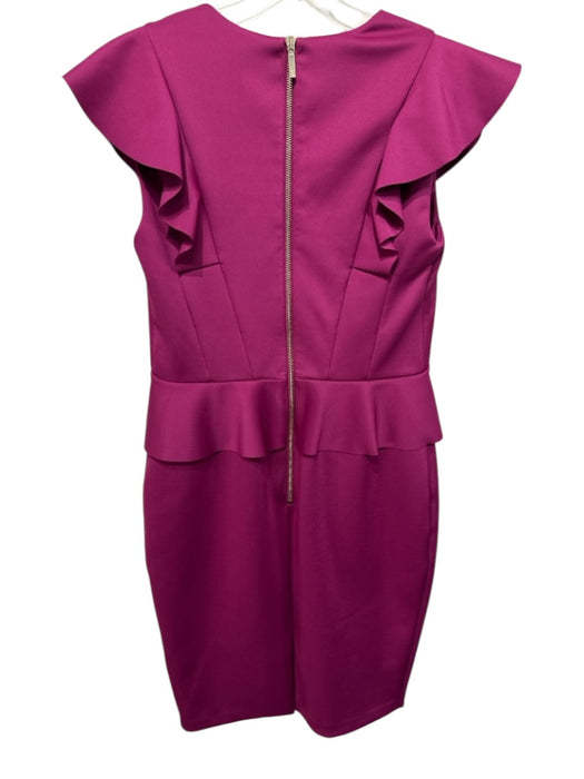 Ted Baker Size 2 Fuchsia Pink Polyester Blend Ruffle Peplum Sheath Dress Fuchsia Pink / 2