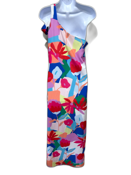 CROSBY by Mollie Burch Size 4 Multi Polyester Abstract Floral One Shoulder Dress Multi / 4