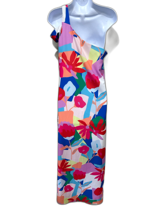 CROSBY by Mollie Burch Size 4 Multi Polyester Abstract Floral One Shoulder Dress Multi / 4