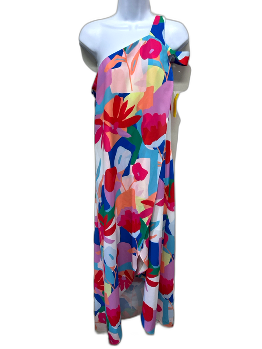 CROSBY by Mollie Burch Size 4 Multi Polyester Abstract Floral One Shoulder Dress Multi / 4