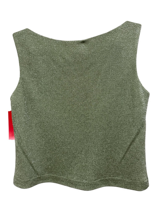 Cache Size 6 Sage green No Fabric Tag Satin Sleeveless Shimmer Skirt Set Sage green / 6