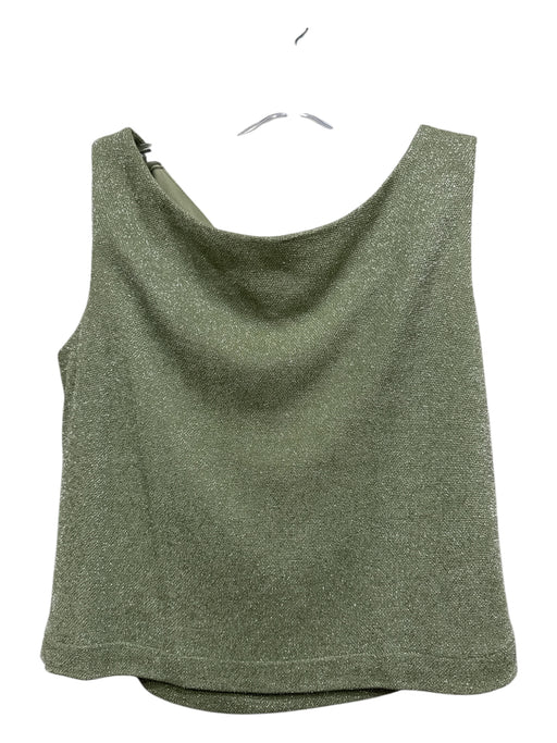 Cache Size 6 Sage green No Fabric Tag Satin Sleeveless Shimmer Skirt Set Sage green / 6