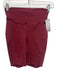 Lululemon Size 4 Brick Red Nylon Blend Elastic Waistband Bike Athletic Shorts Brick Red / 4