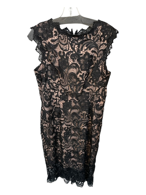 Dress the Population Size L Black & Tan Lace Cap Sleeve Back Zip Midi Dress Black & Tan / L