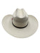 Stetson White Woven Fedora Men's Hat White