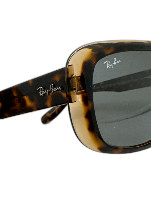 Ray Ban Brown & Tan Acetate Tortoise Tinted Lens Sunglasses Brown & Tan