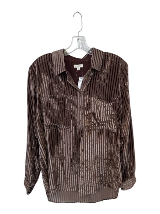Pilcro Size S Brown Viscose Collar 1/2 Button Button Down Sheer Stripe Top Brown / S