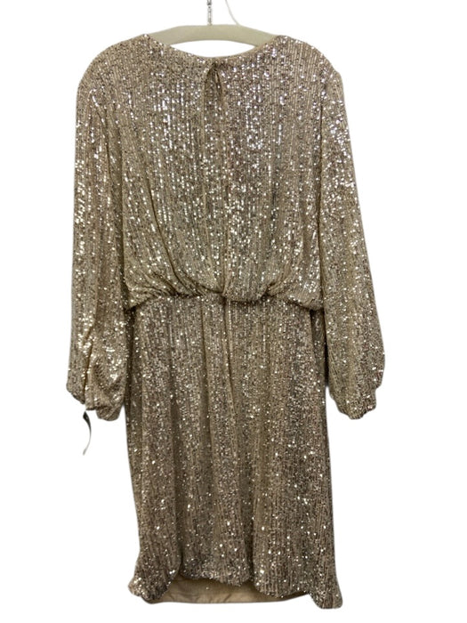 Eliza J Size 18 Beige & Silver Polyester Blend Sequined 3/4 Balloon Sleeve Dress Beige & Silver / 18