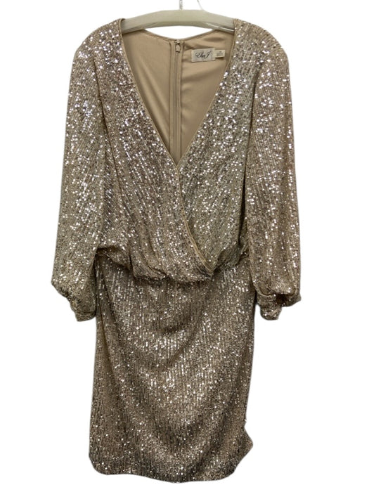 Eliza J Size 18 Beige & Silver Polyester Blend Sequined 3/4 Balloon Sleeve Dress Beige & Silver / 18