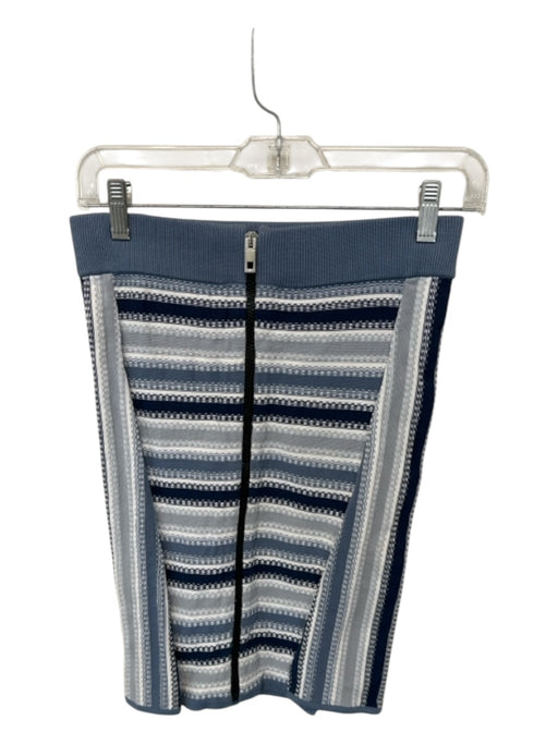 Rag & Bone Size XS Blue & White Cotton Blend Back Zip Striped Knit Skirt Blue & White / XS