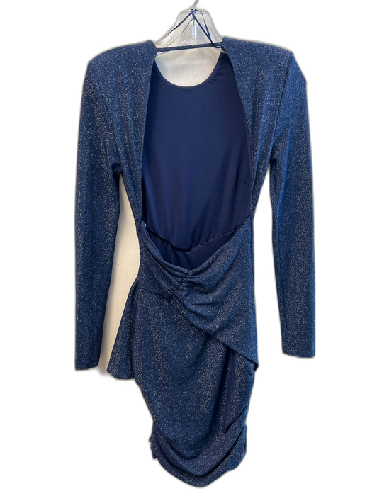 Misha Size XS Navy Nylon Blend Shimmer Long Sleeve Open Back Side Zip Dress Navy / XS