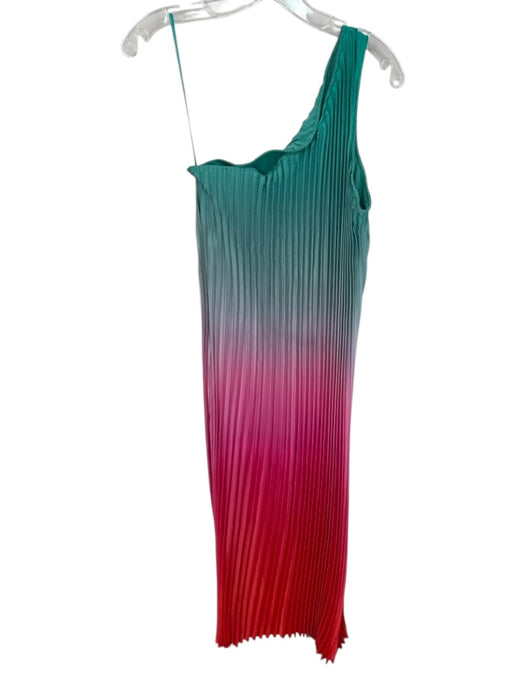 Nicole Miller Size XS Multi Polyester Blend Ombre Acordian Pleated Maxi Dress Multi / XS
