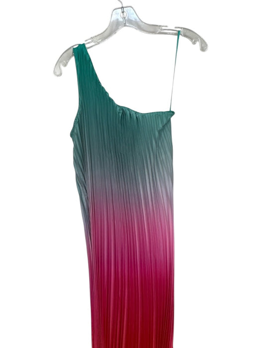 Nicole Miller Size XS Multi Polyester Blend Ombre Acordian Pleated Maxi Dress Multi / XS