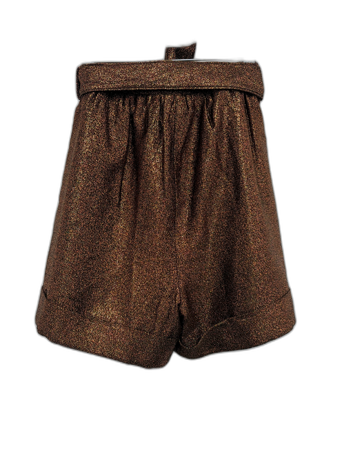 Christy Lynn Size 2 Bronze Acrylic Blend High Waist Shimmer Pockets Shorts Bronze / 2