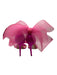 Jimmy Choo Shoe Size 36.5 Fuchsia Leather, Grosgrain & Mesh Bow Detail Sandals Fuchsia / 36.5