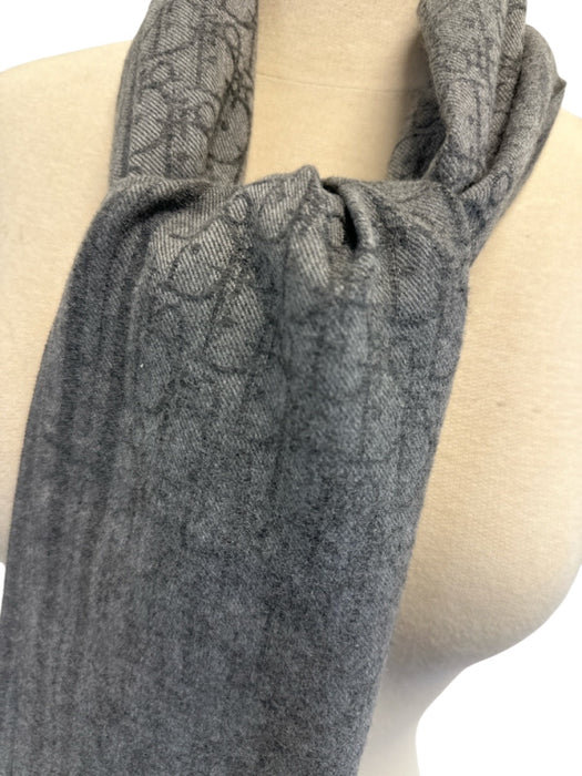 Christian Dior Gray Cashmere Blend Fringe Dior Oblique Jacquard Rectangle scarf Gray / One Size