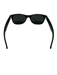RayBan Black & Tan Plastic Solid Men's Sunglasses Black & Tan