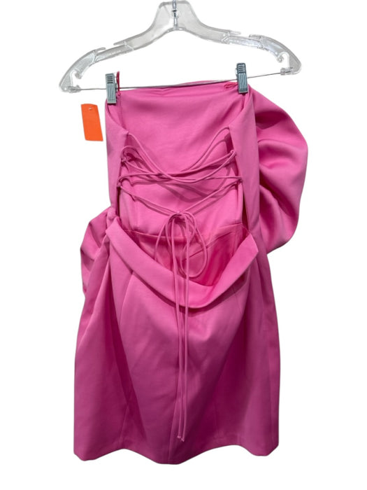 Zara Size Medium Pink Strapless Flower Mini Corset Dress Pink / Medium