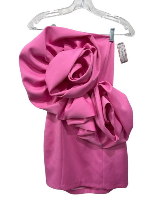Zara Size Medium Pink Strapless Flower Mini Corset Dress Pink / Medium