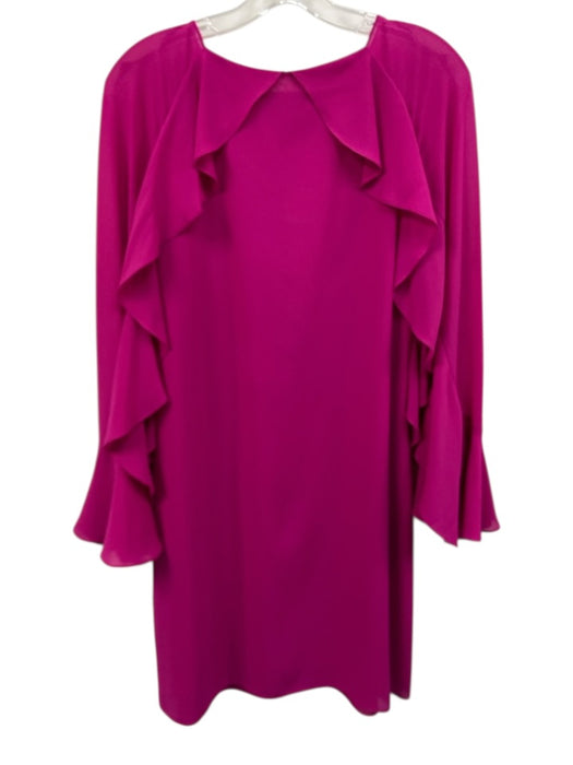 Belle Badgley Mischka Size 2 Magenta Pink Polyester Long Sleeve Mini Shift Dress Magenta Pink / 2