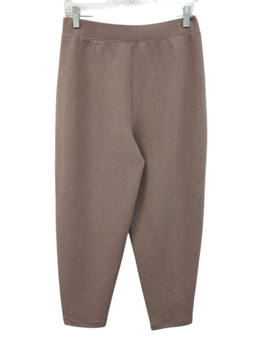 Spanx Size S Beige Polyester Blend Ribbed Long Sleeve Tapered Pant Set Beige / S