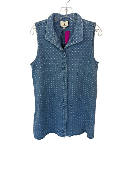 Tuckernuck Size M Chambray Cotton Sleeveless Button Up stiching Mini Dress Chambray / M