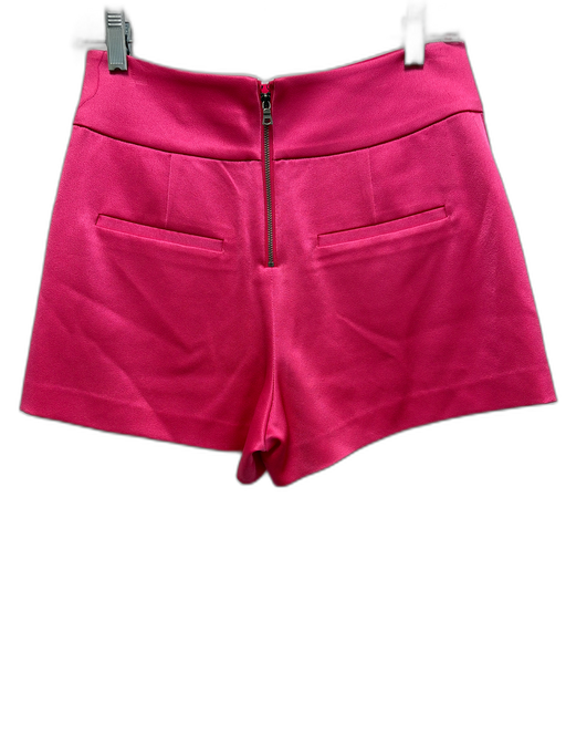 Alice + Olivia Size 2 Neon Pink Triacetate Blend Satin Pintuck Detail Shorts Neon Pink / 2
