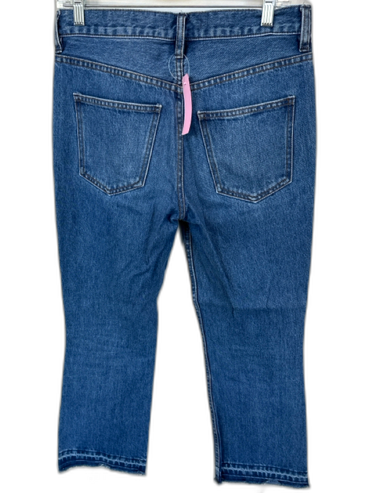 Free People Size 26 Dark Wash Cotton High Waist Straight Leg Raw Hem Jeans Dark Wash / 26