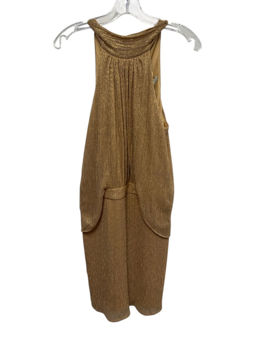 Halston Size 4 Beige & Gold Polyester Blend Sleeveless Gathered Metallic Dress Beige & Gold / 4
