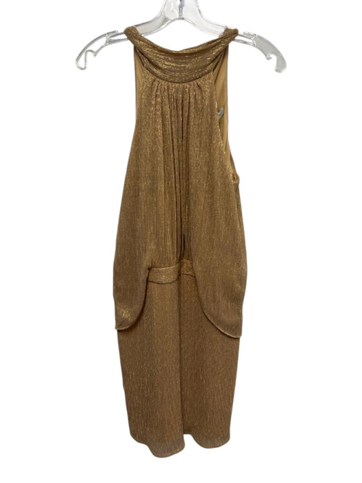 Halston Size 4 Beige & Gold Polyester Blend Sleeveless Gathered Metallic Dress Beige & Gold / 4