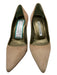 Manolo Blahnik Shoe Size 34.5 Beige Suede Pointed Toe Stiletto Pumps Beige / 34.5