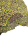 Portia & Scarlett Size 2 Yellow Polyester Sequined padded Leg Slit Gown Yellow / 2