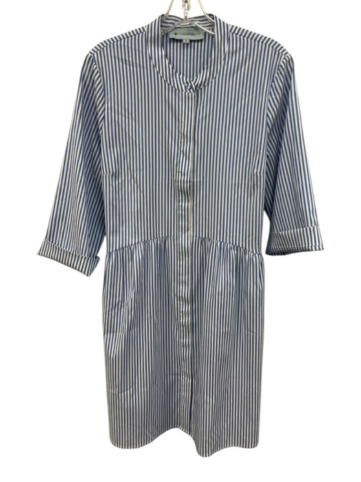 Tuckernuck Size M Blue & White Polyester Striped Long Sleeve Button Front Dress Blue & White / M