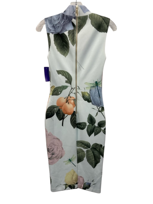 Ted Baker Size 1 Blue & Multi Sleeveless Printed Zip Back V Neck Dress Blue & Multi / 1